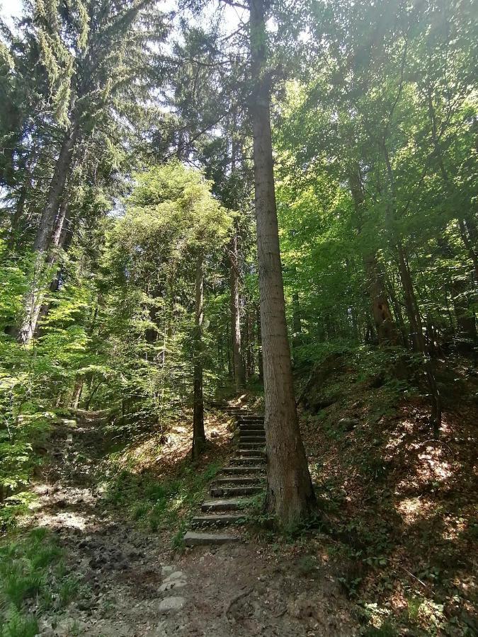 Petkovi аpartments, Gardens - One-bedroom And Two-bedroom * Borovets