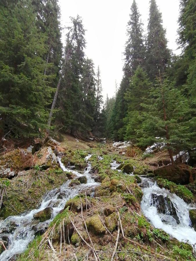 Petkovi аpartments, Gardens - One-bedroom And Two-bedroom * Borovets