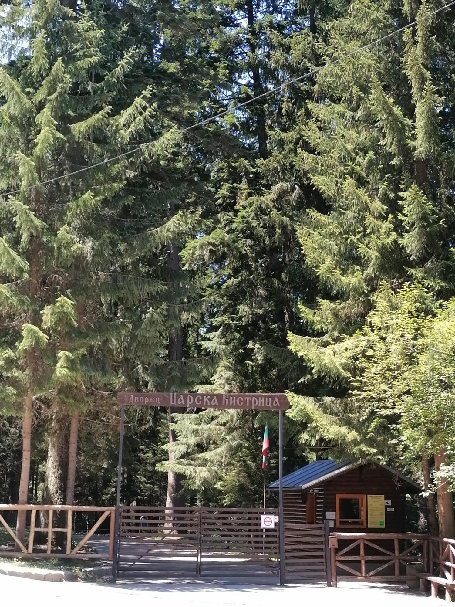 Petkovi аpartments, Gardens - One-bedroom And Two-bedroom Borovets